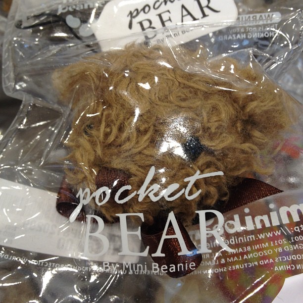 Pocket Bear. Just the tiny heads of little bears. So strange