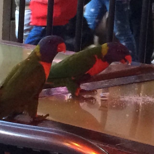 Loving the sugar package on the table. They just came and helped themselves