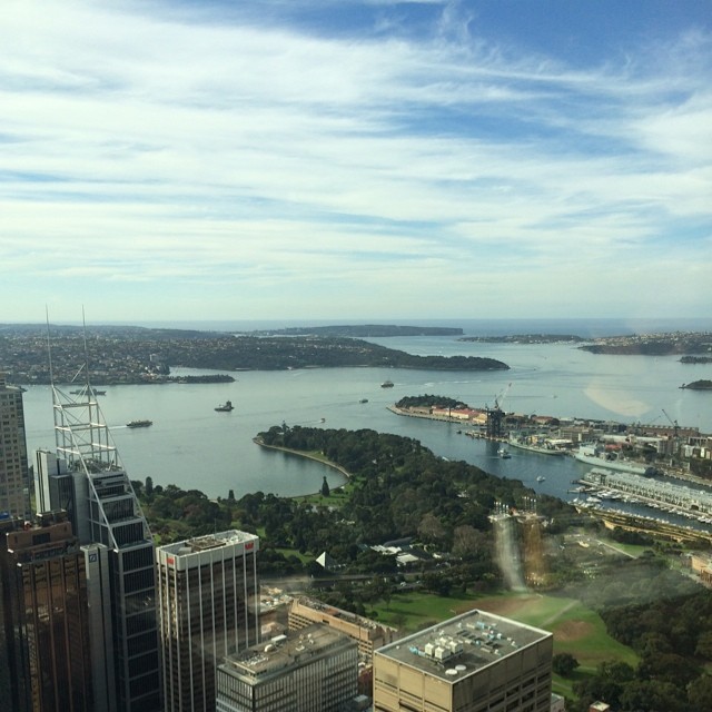 View from the top. Definitely don't bother with the lunch buffet