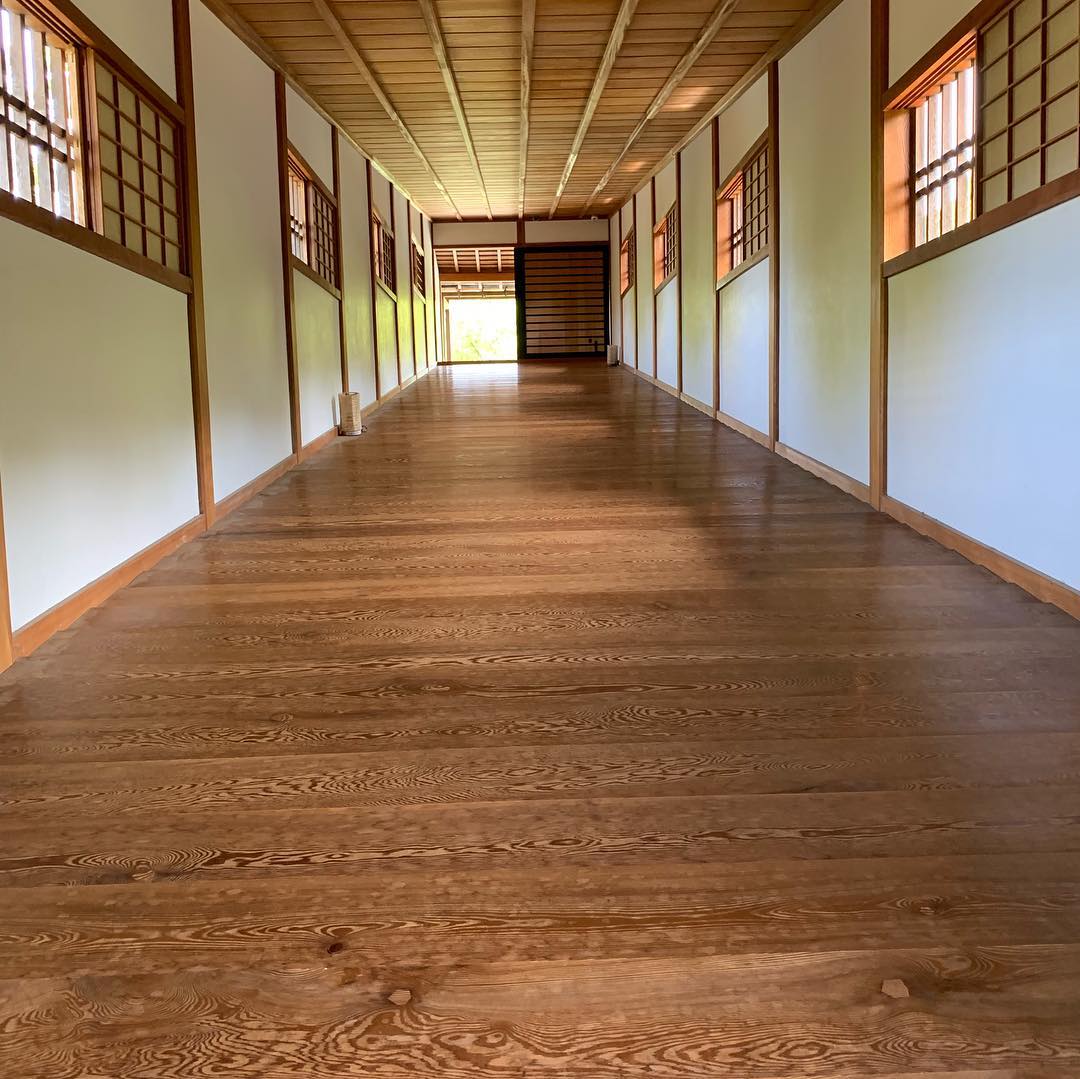 Ohashi Rouka Bridge #wakayamacastle #wakayama (3)