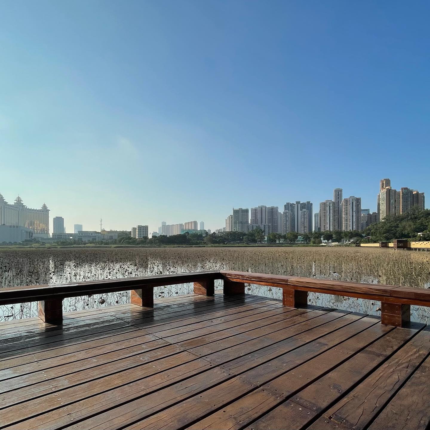 Nice relaxing stroll #wetlandspark #taipa #macau (3)