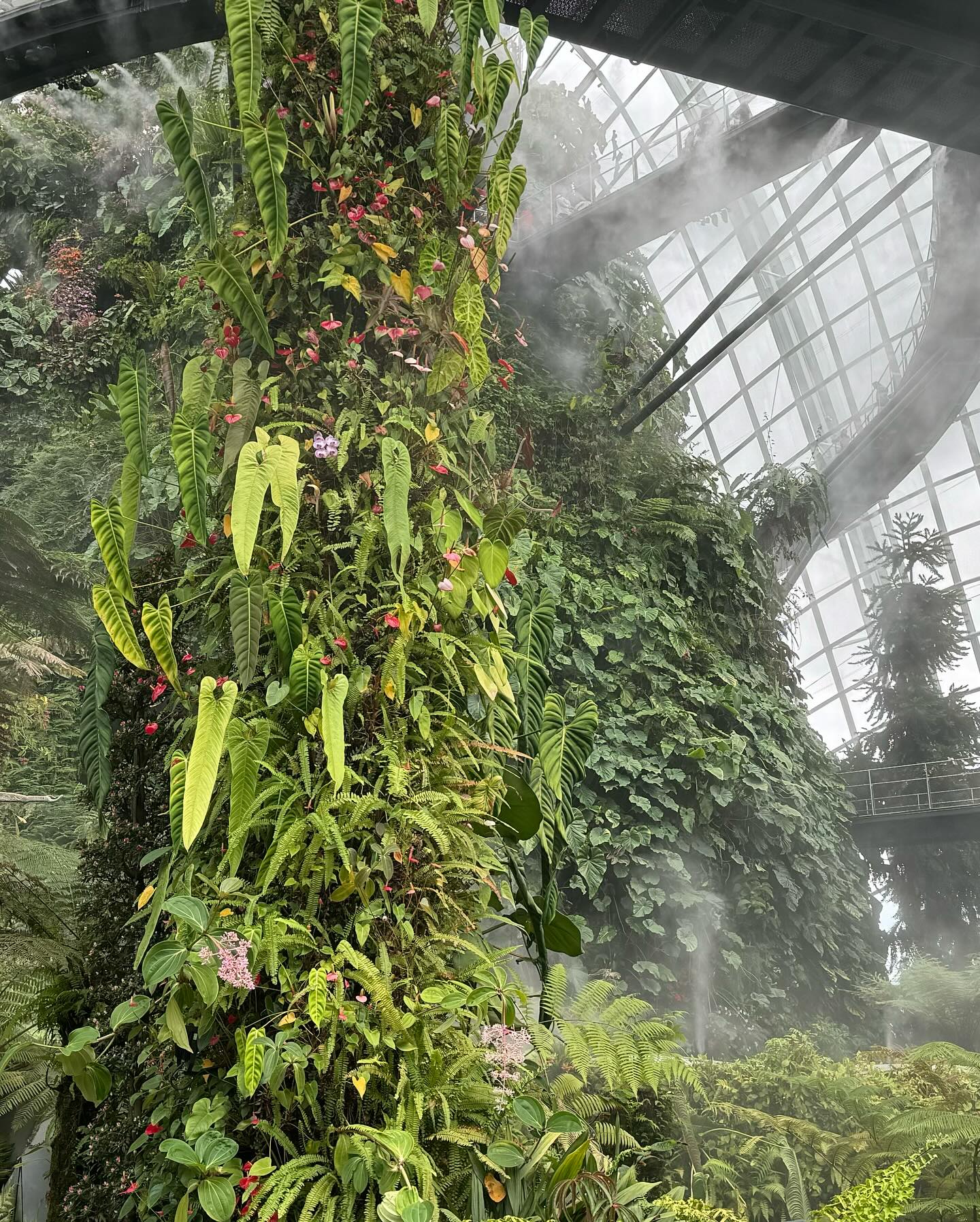 #GardensByTheBay #CloudForest Part 2 (2)