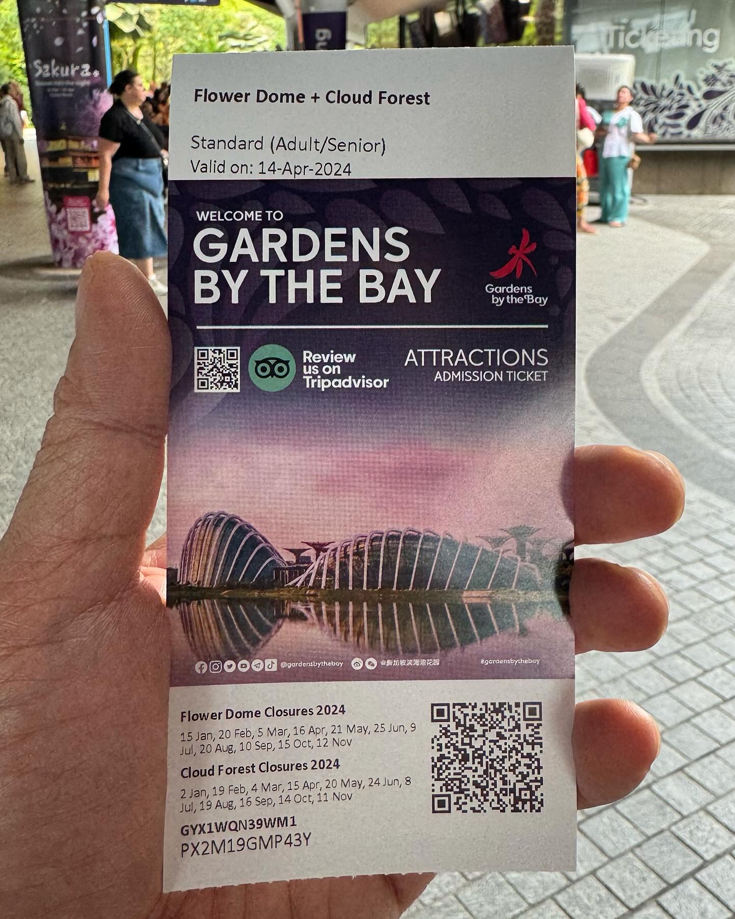 #GardensByTheBay #CloudForest Part 2 (3)