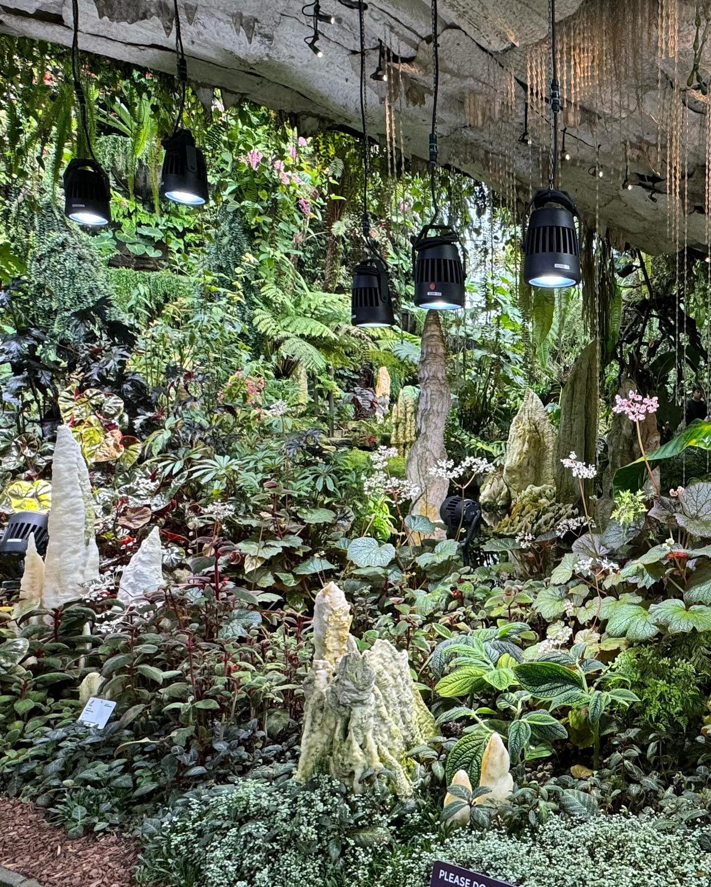 #GardensByTheBay #CloudForest Part 2 (10)