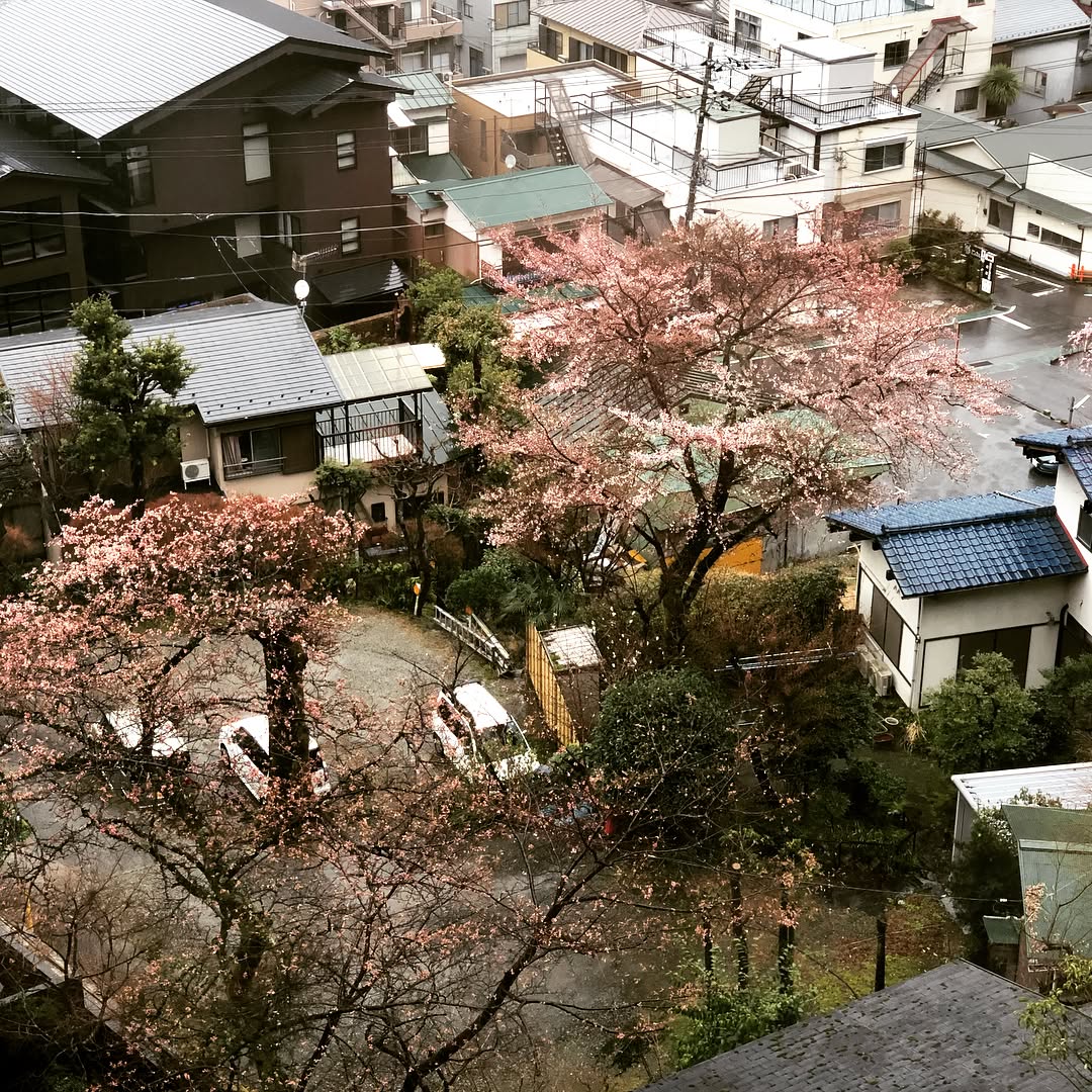 Sights and atmosphere of this onsen hotel (5)