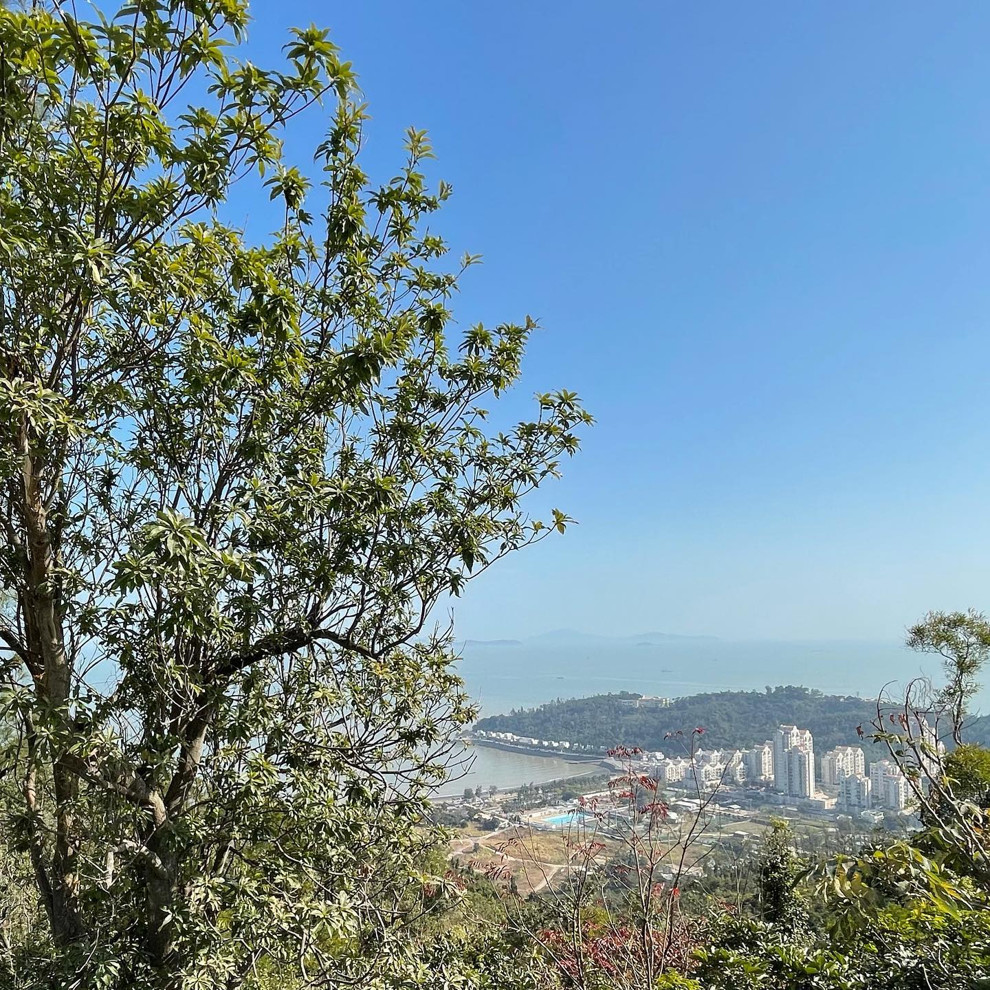 1000 ton 19.9m tall #A-Ma statue #Macau #Coloane hills (2)