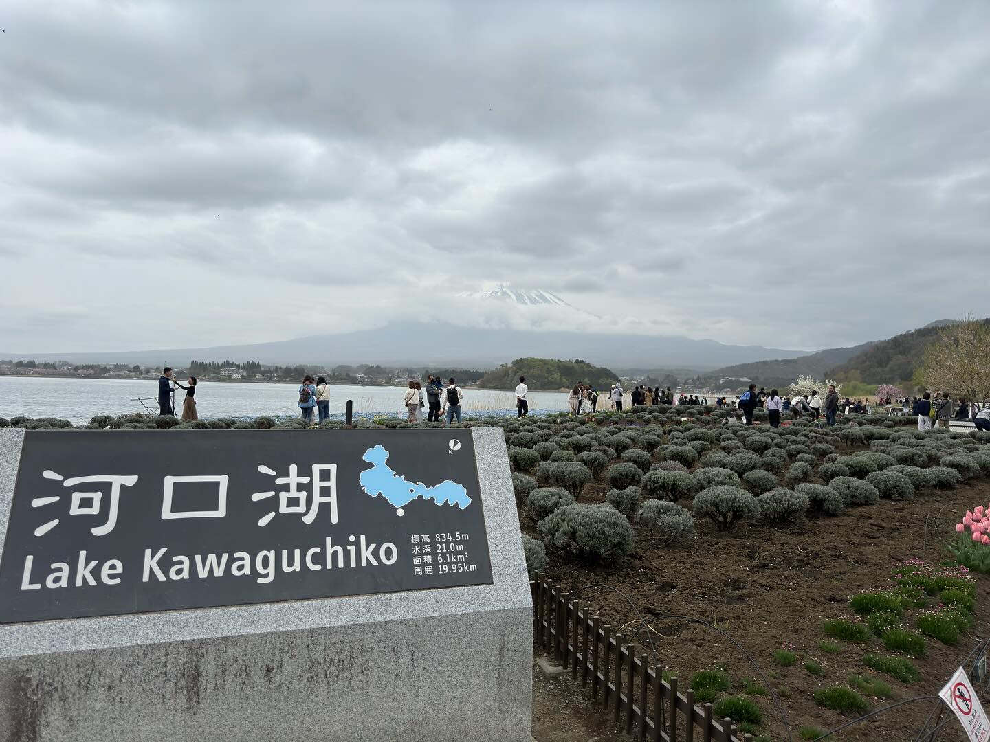 Another attempt to see #MtFuji #LakeKawaguchiko (3)