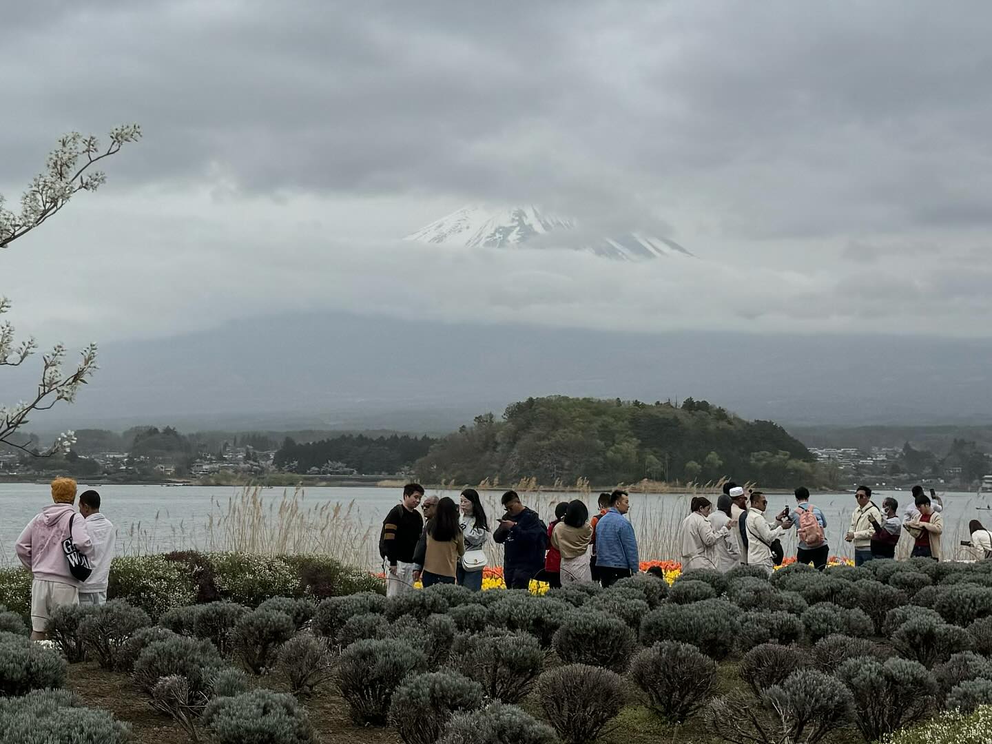 Another attempt to see #MtFuji #LakeKawaguchiko (5)