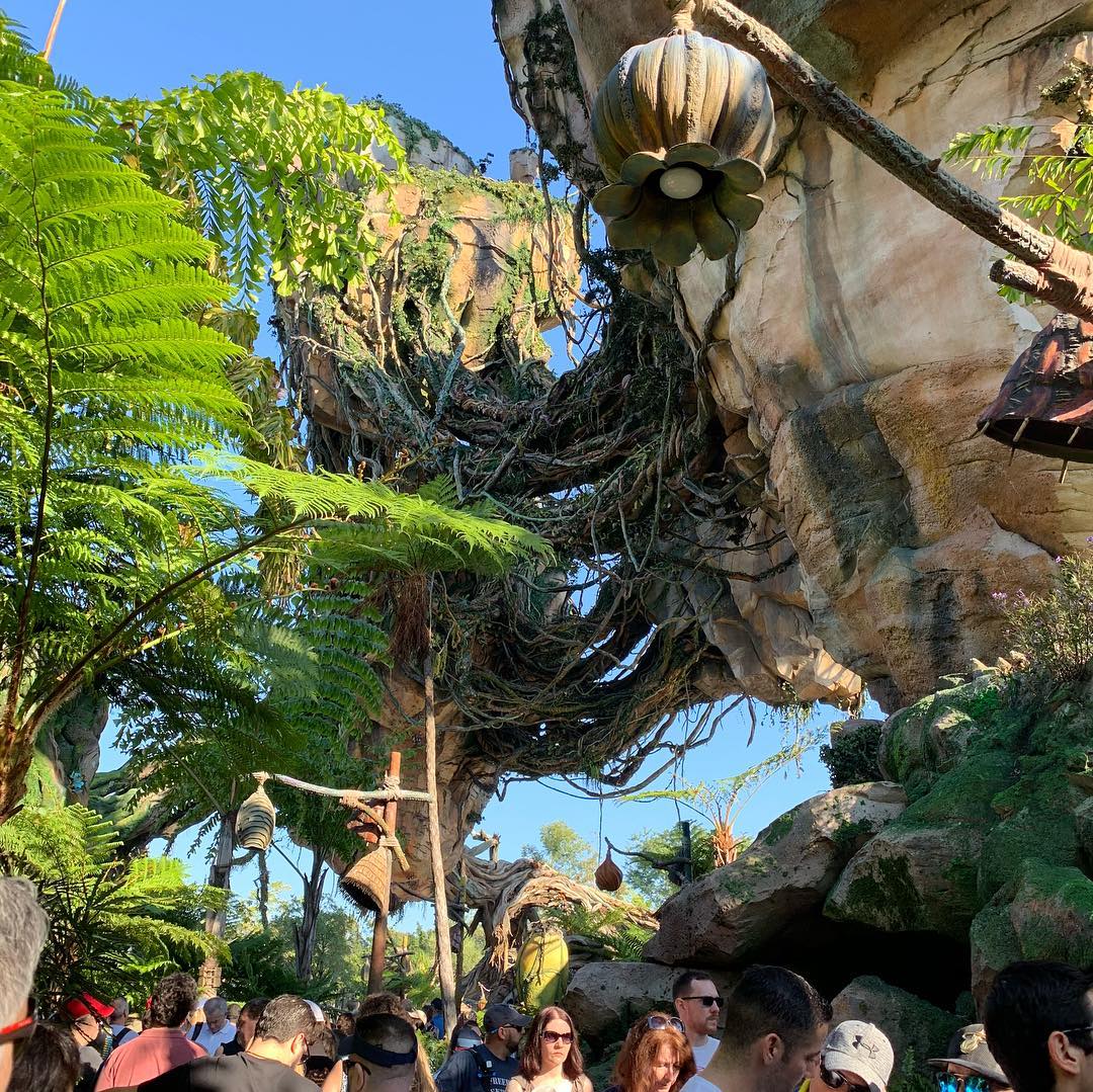 An amazing environment, thanks to Disney’s imagineers (4)