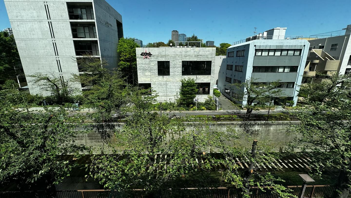 Walk about in #MeguroRiver area #Tokyo #Japan (5)