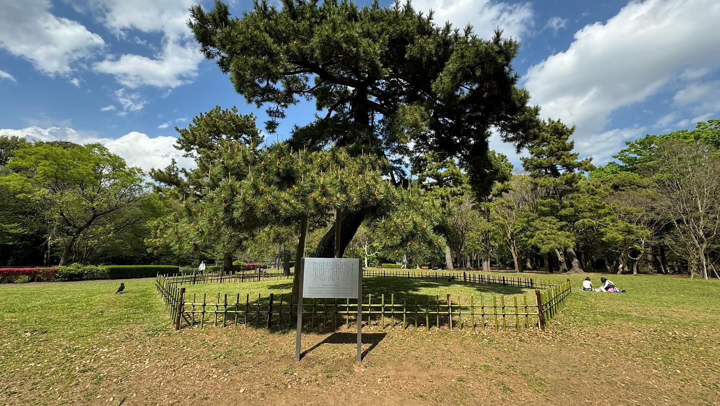 Mini #picnic in the #park with @trufflebakery #tokyo (6)