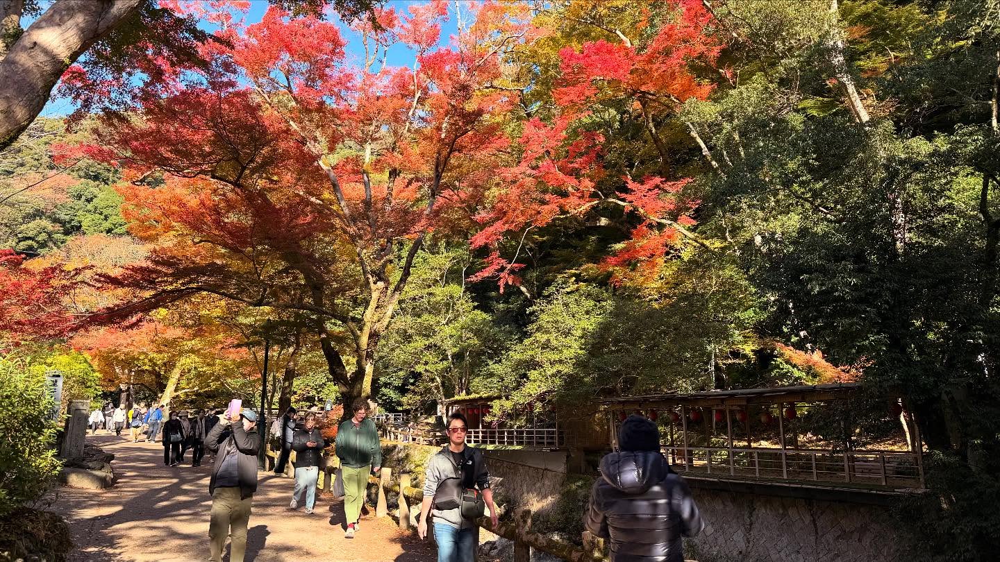Fall foliage throughout the path to the falls #osaka (3)