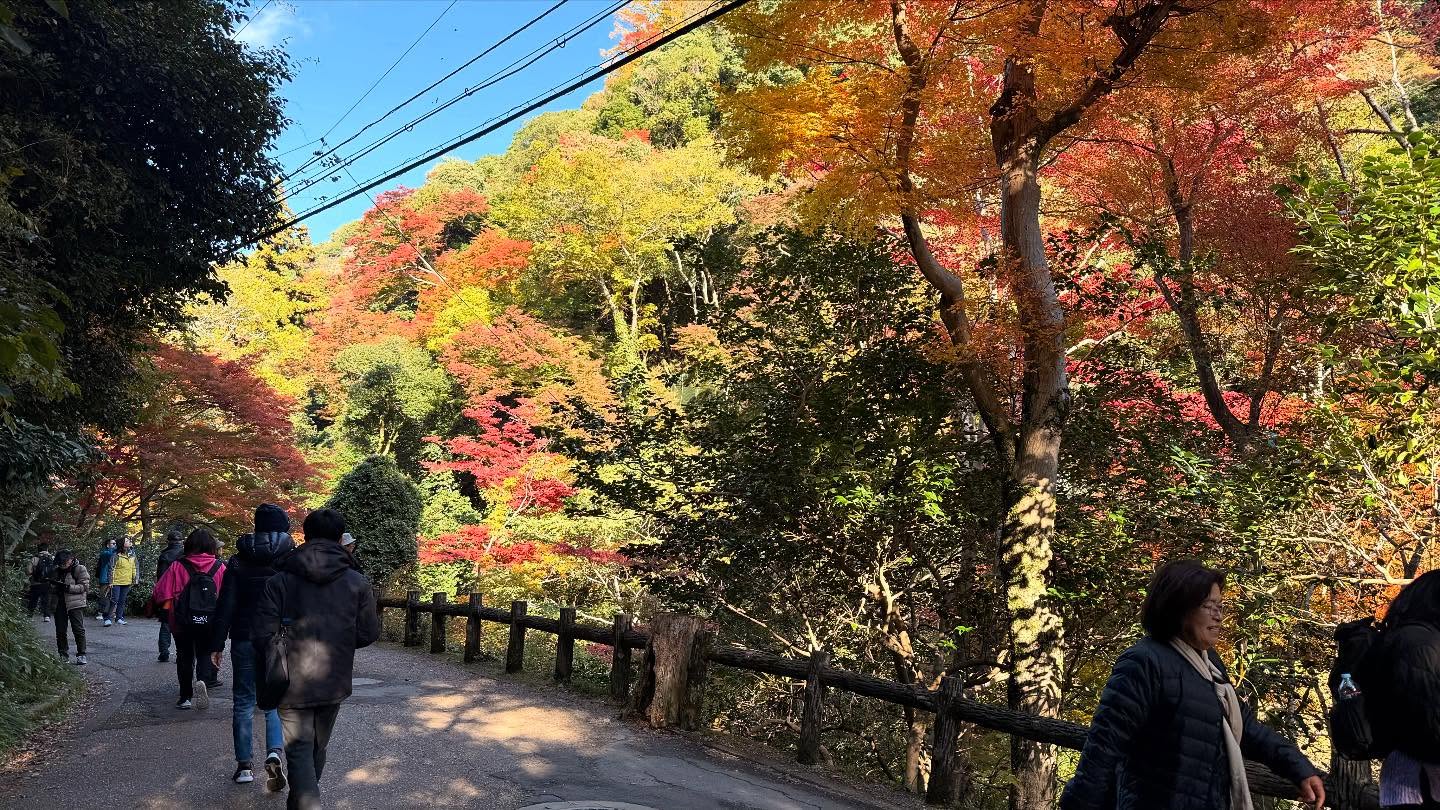 Fall foliage throughout the path to the falls #osaka (6)