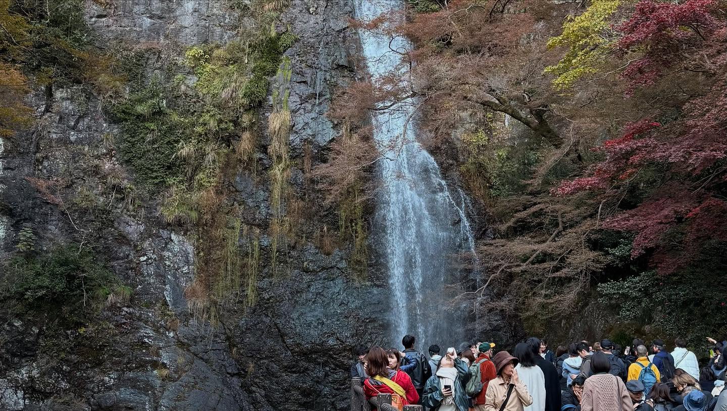 Fall foliage throughout the path to the falls #osaka (7)
