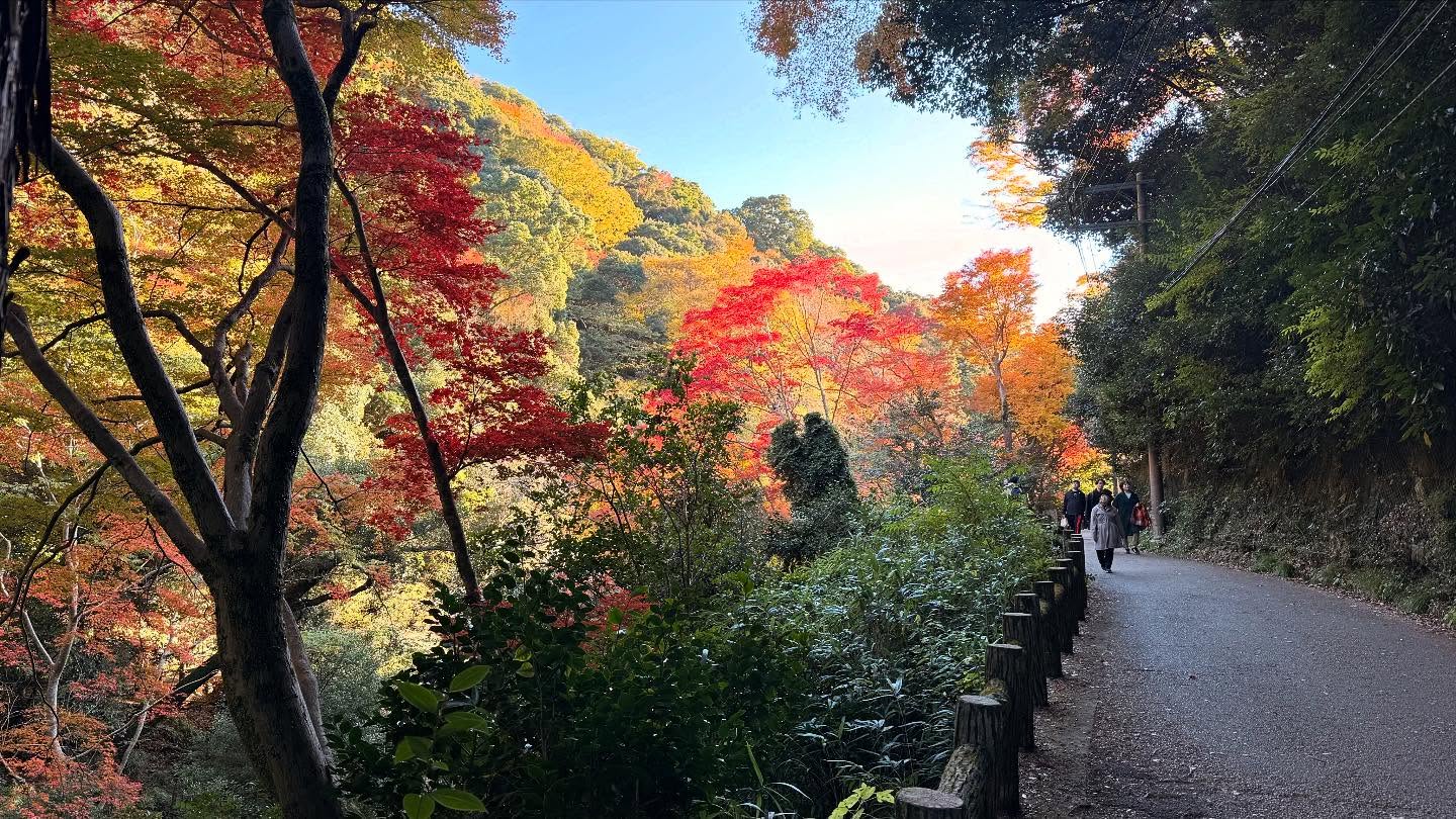 Fall foliage throughout the path to the falls #osaka (9)