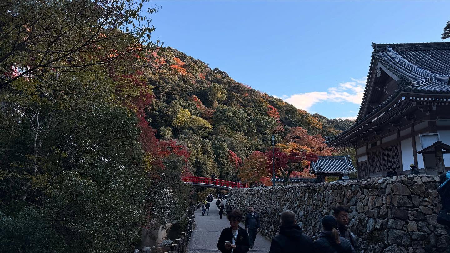 Fall foliage throughout the path to the falls #osaka (10)