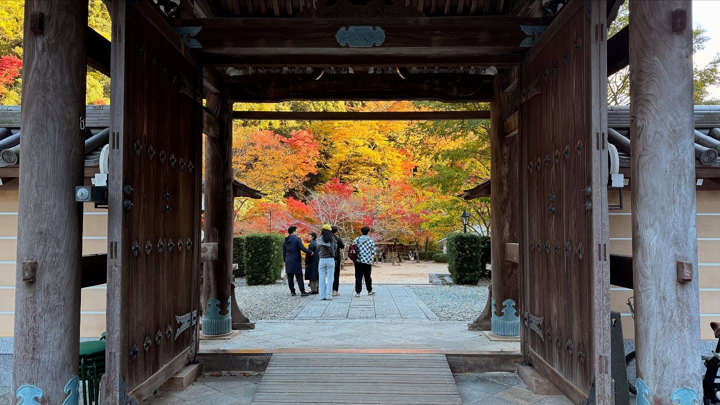 Fall foliage throughout the path to the falls #osaka (11)