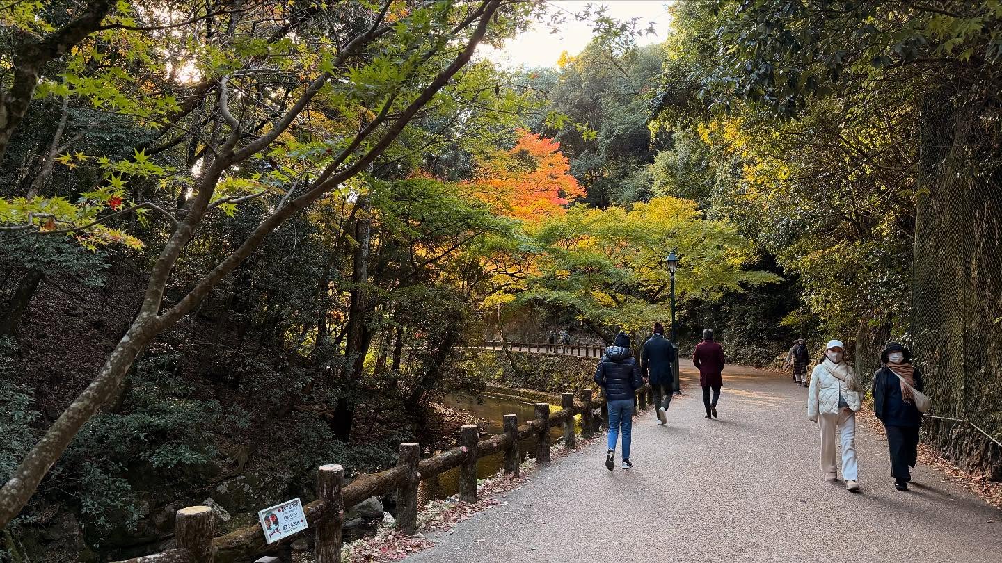 Fall foliage throughout the path to the falls #osaka (15)