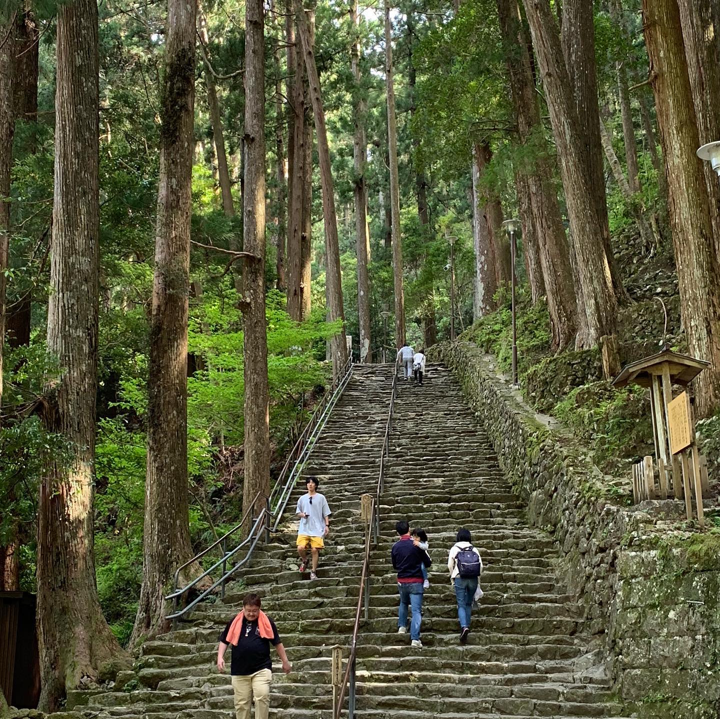 #Wakayama #kumanokodo #kumanonachi #nachifalls (2)