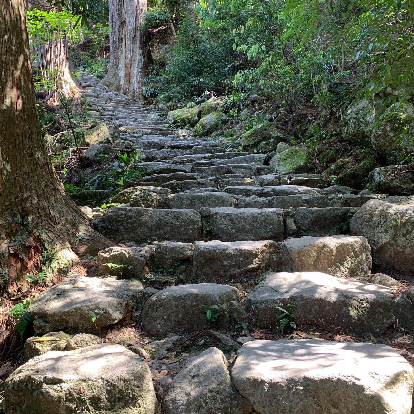 #Wakayama #kumanokodo #kumanonachi #nachifalls (4)