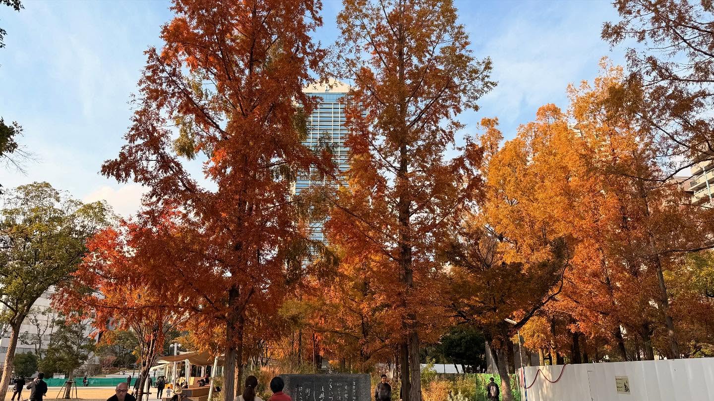 Walk about in #kobe #japan (8)