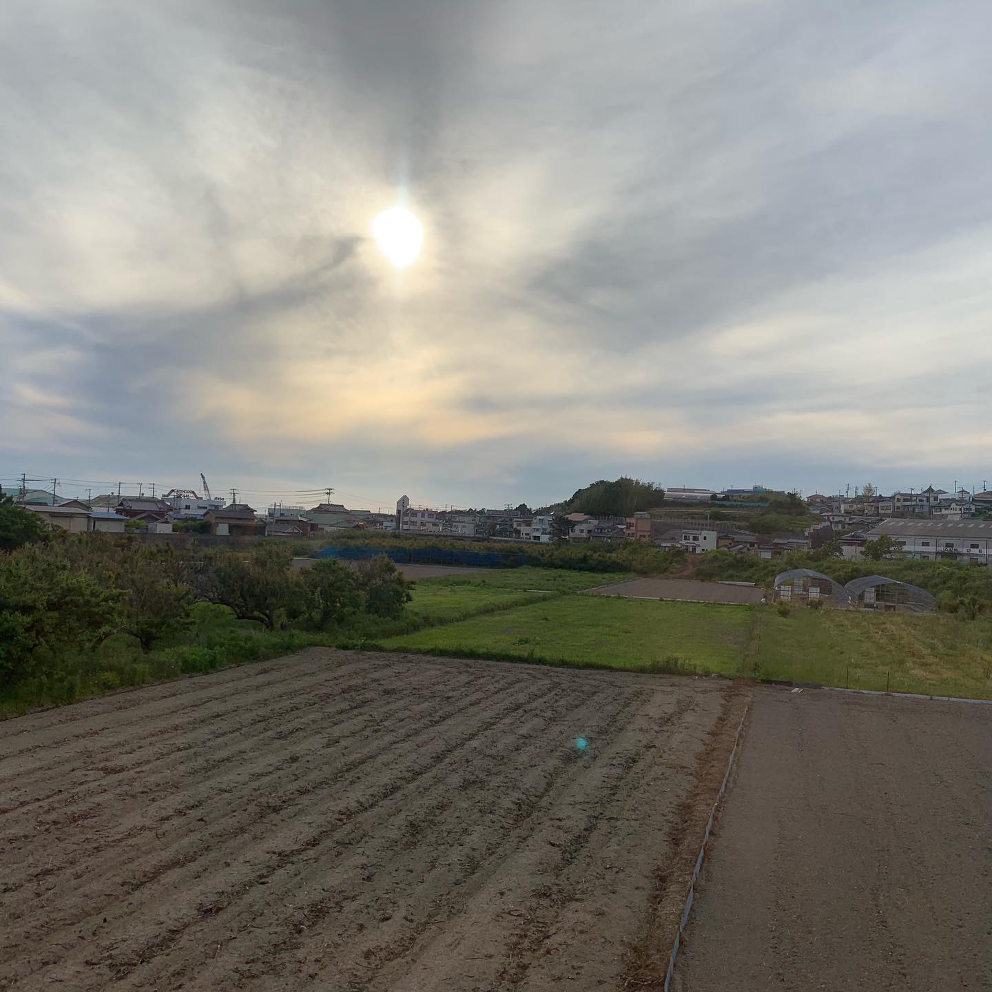 Golden hour on the train #goldenhour #wakayama (2)