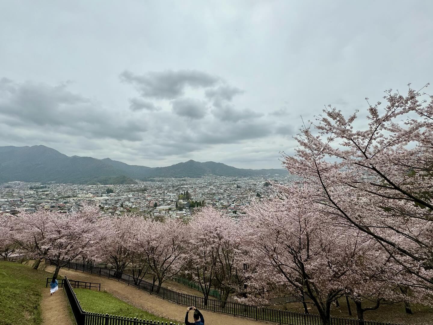 Made a special trip to #MtFuji but it was covered with clouds. Got to see seas of… (4)