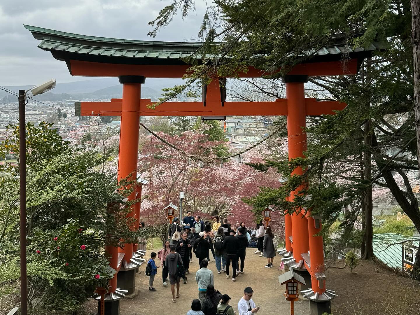 Made a special trip to #MtFuji but it was covered with clouds. Got to see seas of… (7)