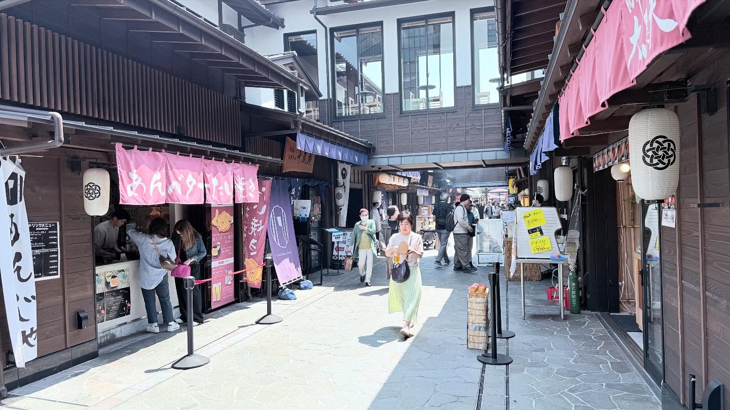 Walk around at the #toyosufishmarket and #ToyosuSenkyakuBanrai (4)