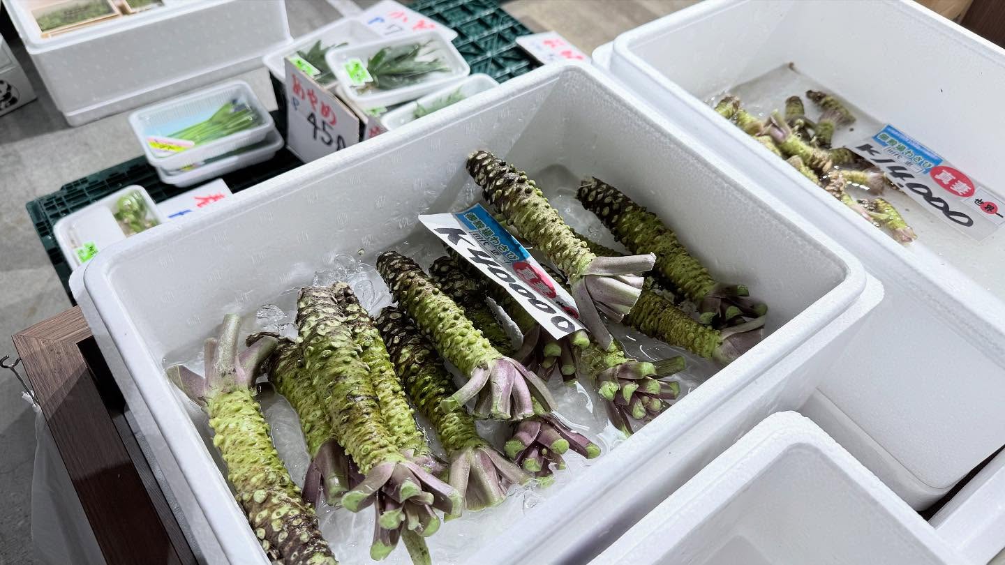 Walk around at the #toyosufishmarket and #ToyosuSenkyakuBanrai (5)