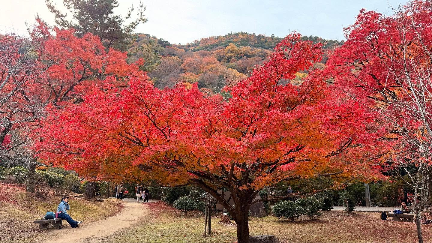 Walk about at the #Arashiyamariver (7)