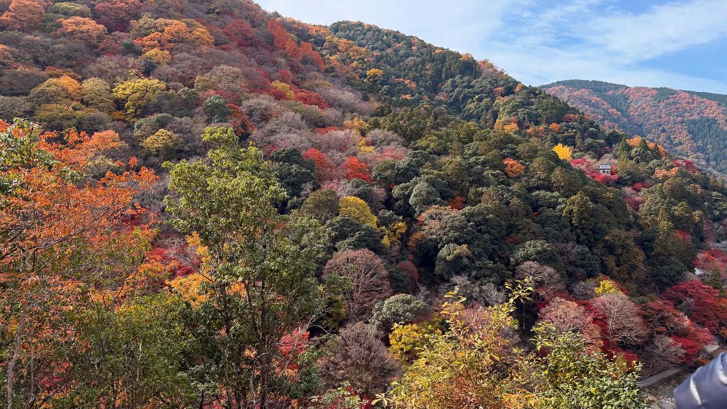 Walk about at the #Arashiyamariver (10)