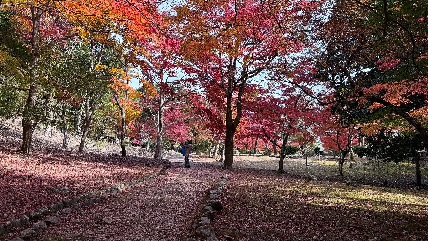Walk about at the #Arashiyamariver (11)