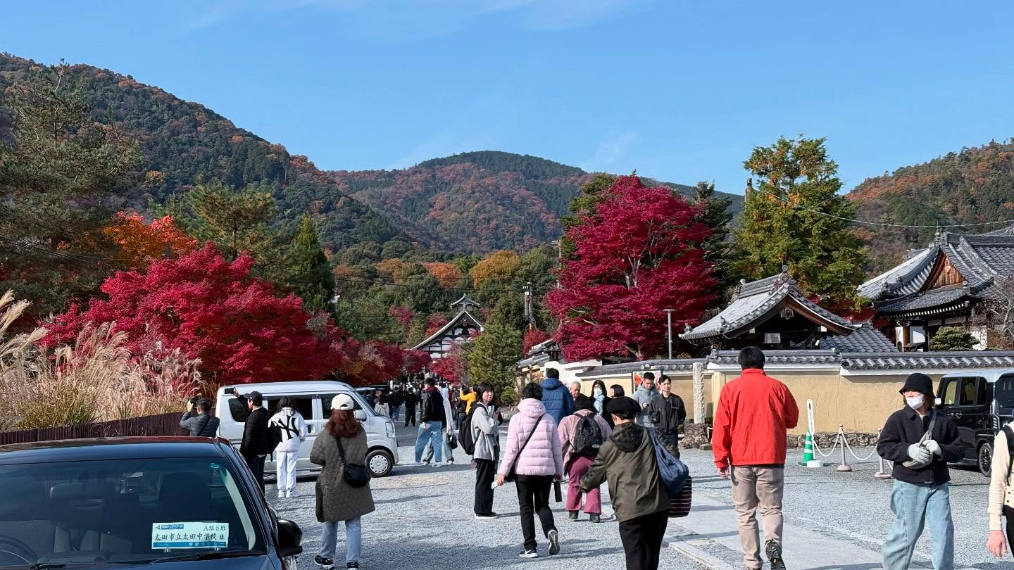 Walk about at the #Arashiyamariver (20)