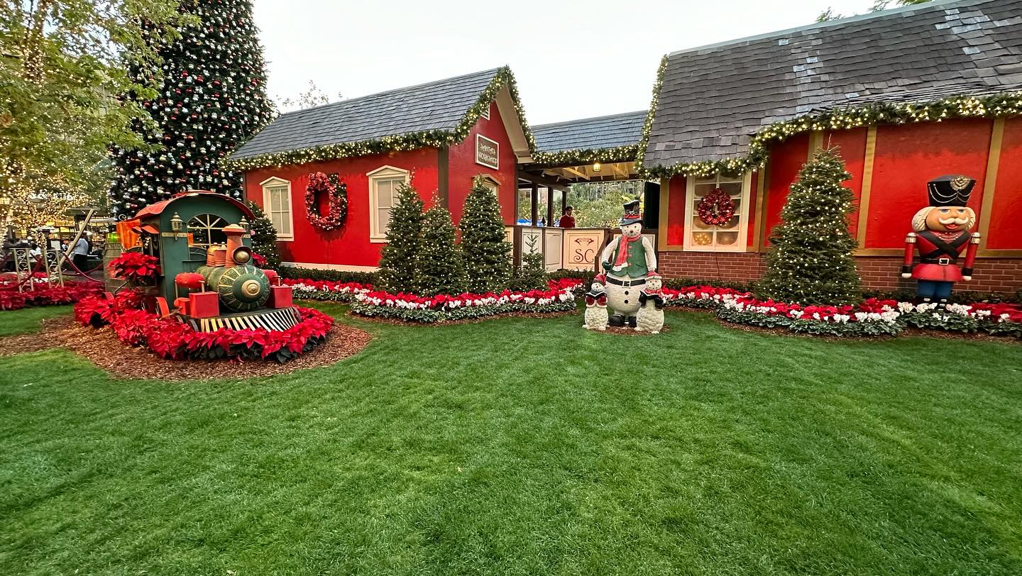Getting into the #Christmas spirits (2)