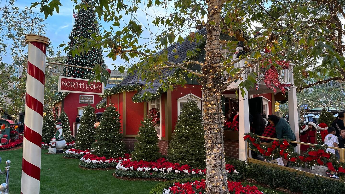 Getting into the #Christmas spirits (3)