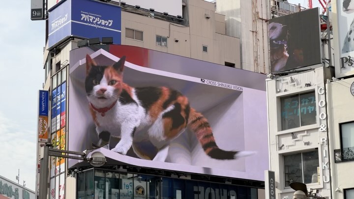 The Cat at #Shinjuku #tokyo #japan #3dadvertising (6)