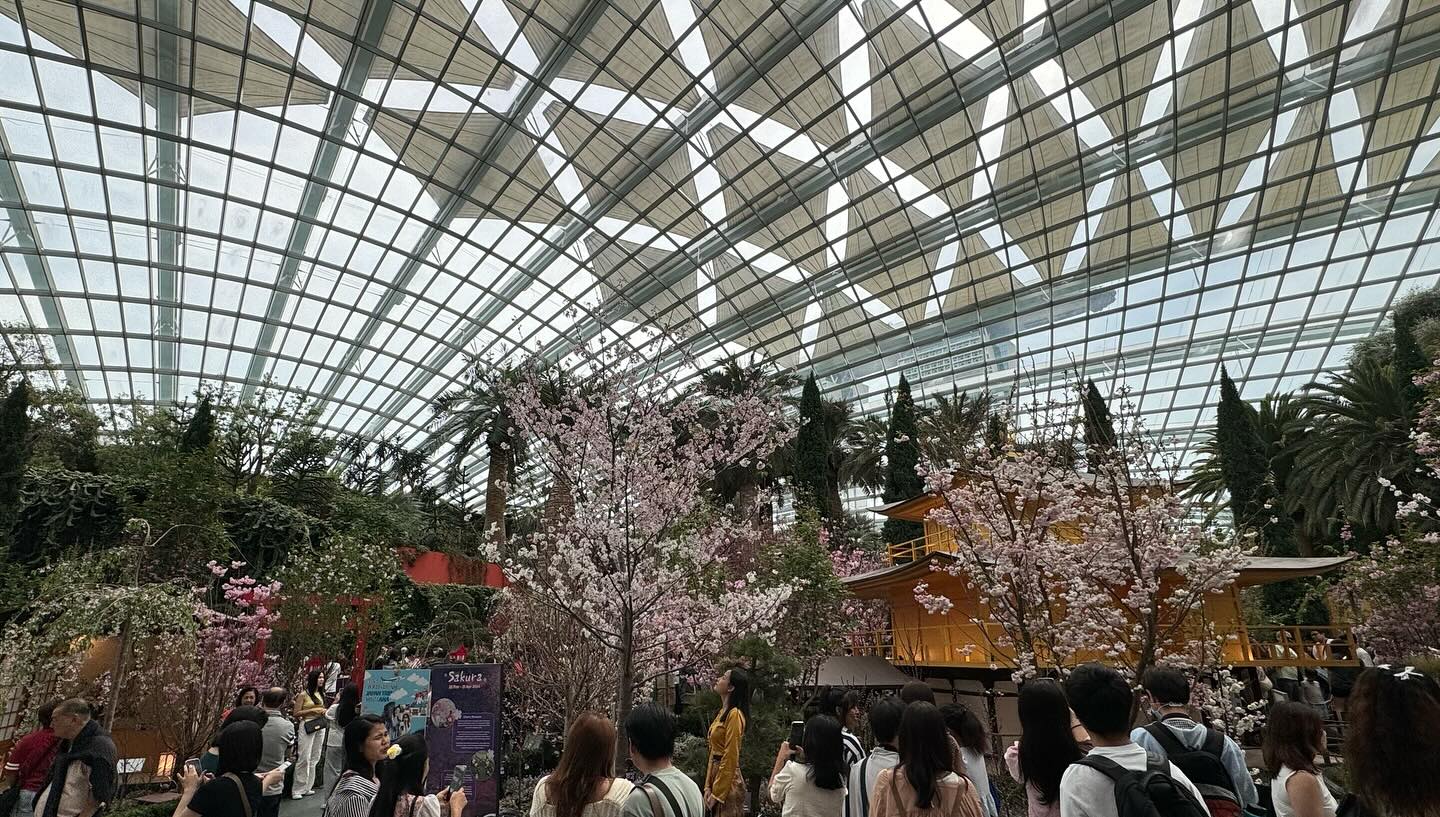#GardensByTheBay #FlowerDome Part 4. Anticipates I will miss the #cherryblossom in Tokyo… (7)