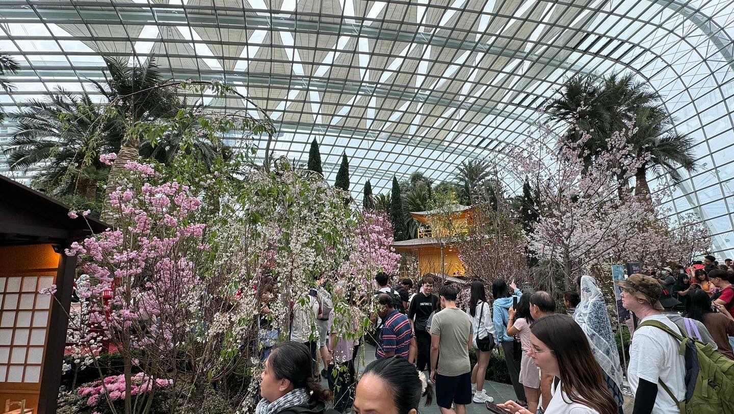 #GardensByTheBay #FlowerDome Part 4. Anticipates I will miss the #cherryblossom in Tokyo… (10)