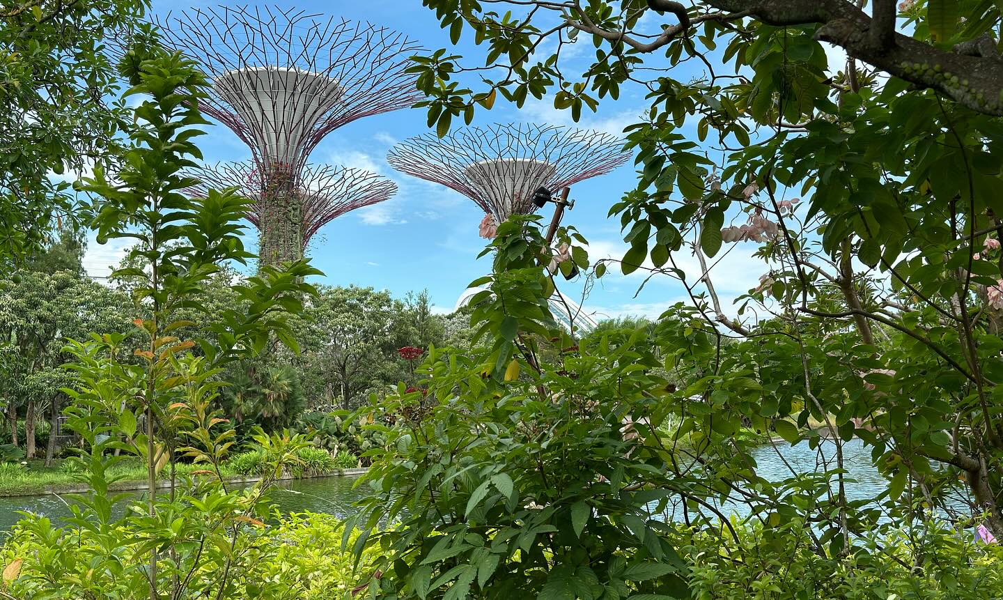 #GardensByTheBay Part 5 (3)