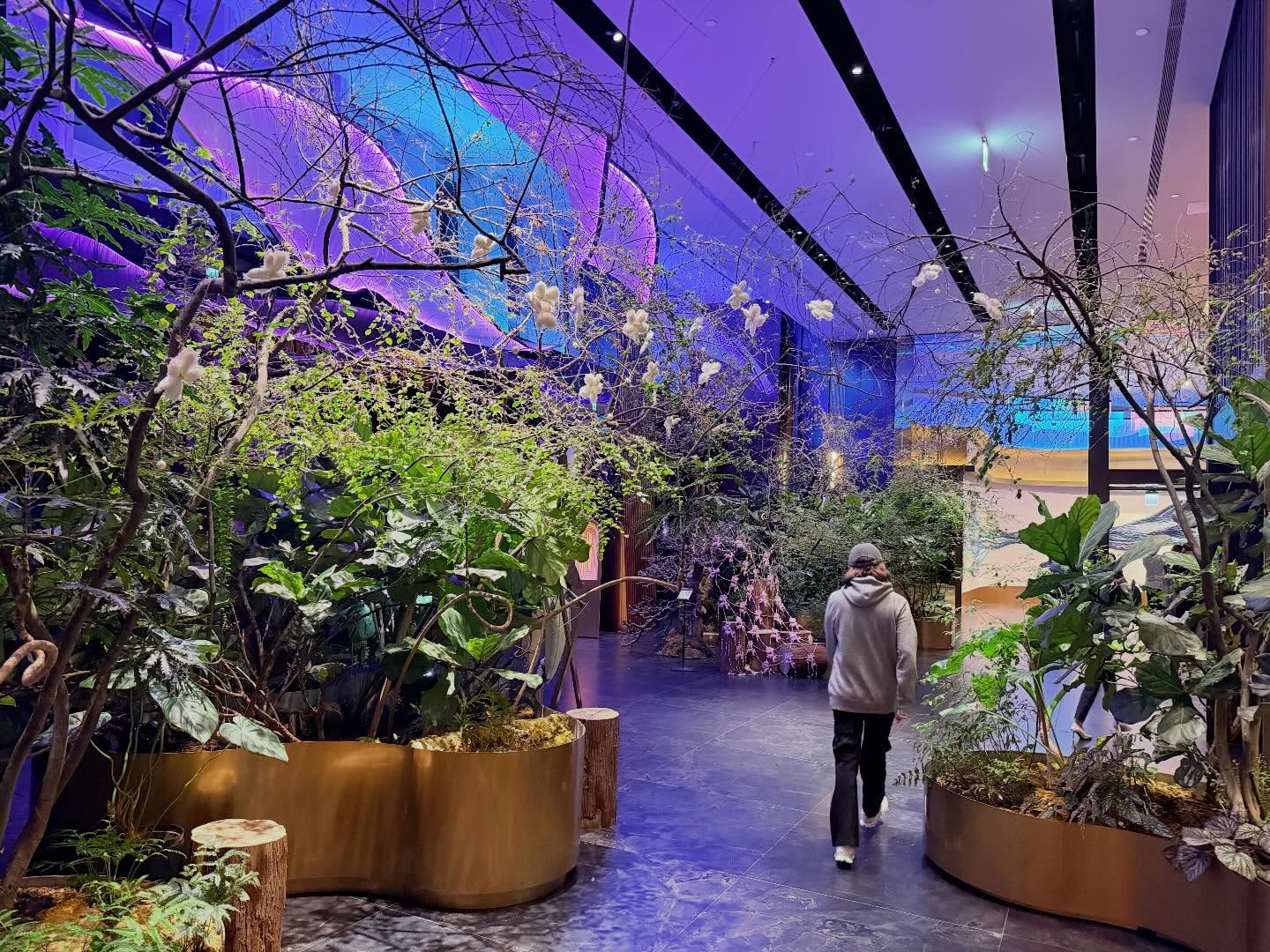 Pretty impressive presentation and deco. Some of the chefs present their dishes at… (5)