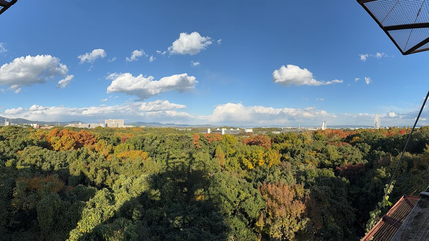 A beautiful day to enjoy #nature (2)