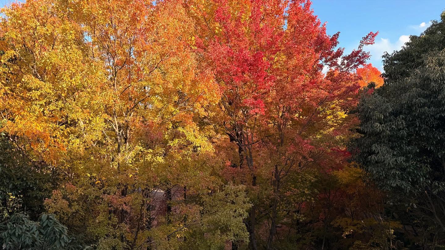 A beautiful day to enjoy #nature (3)