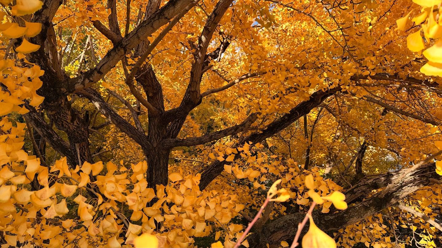 A beautiful day to enjoy #nature (13)