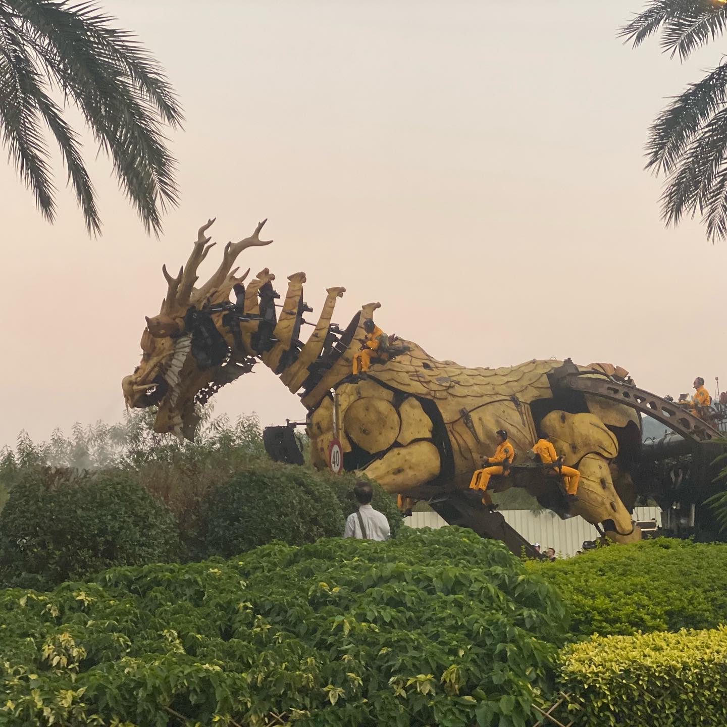Found a dragon roaming the streets of Cotai (2)