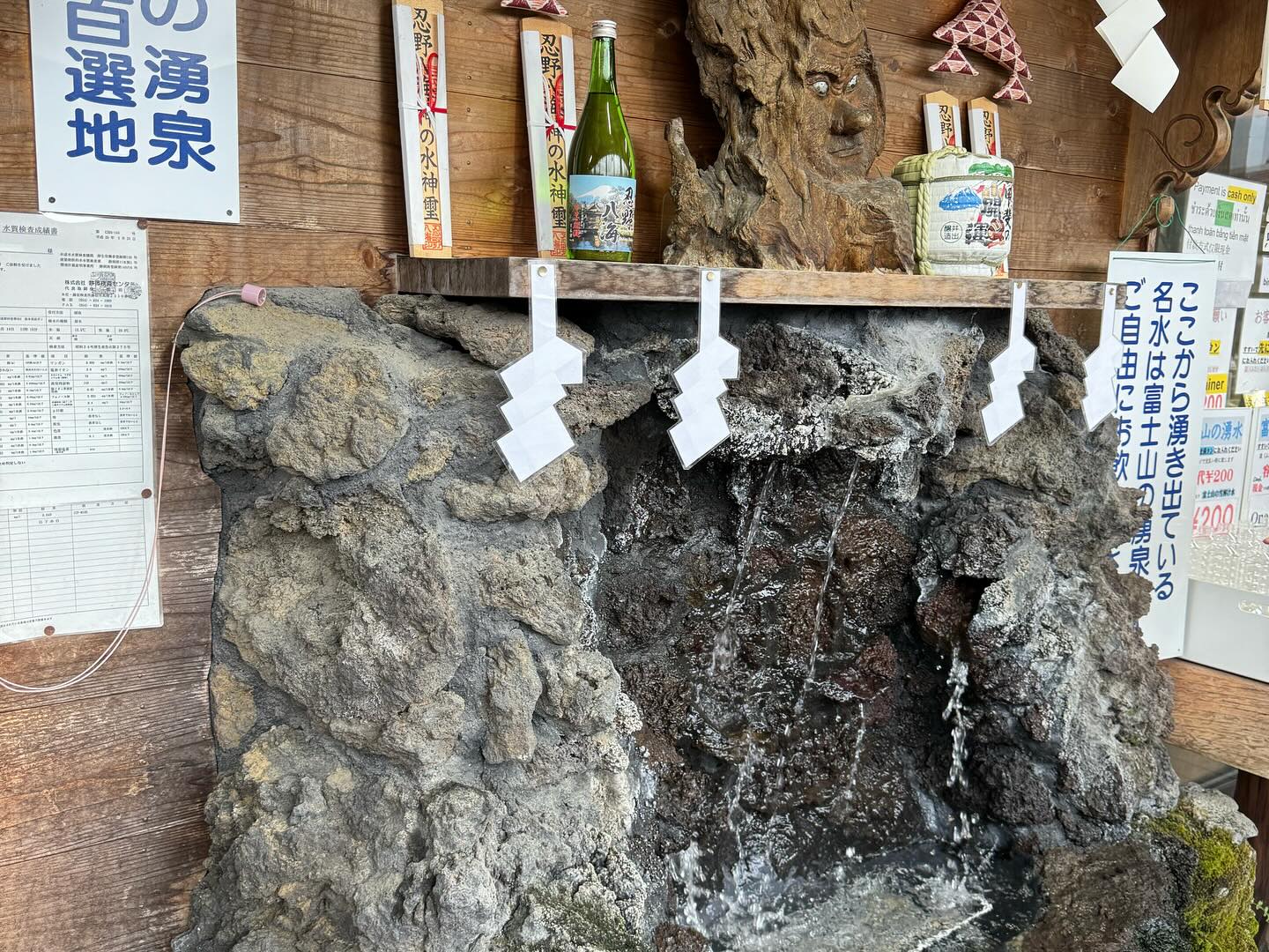 Never seen such clear #springwater in it’s natural habitat #MtFuji #oshinohakkaivillage… (6)