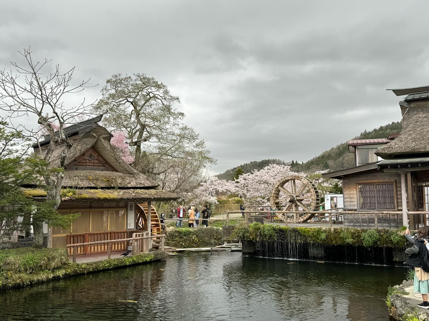 Never seen such clear #springwater in it’s natural habitat #MtFuji #oshinohakkaivillage… (8)