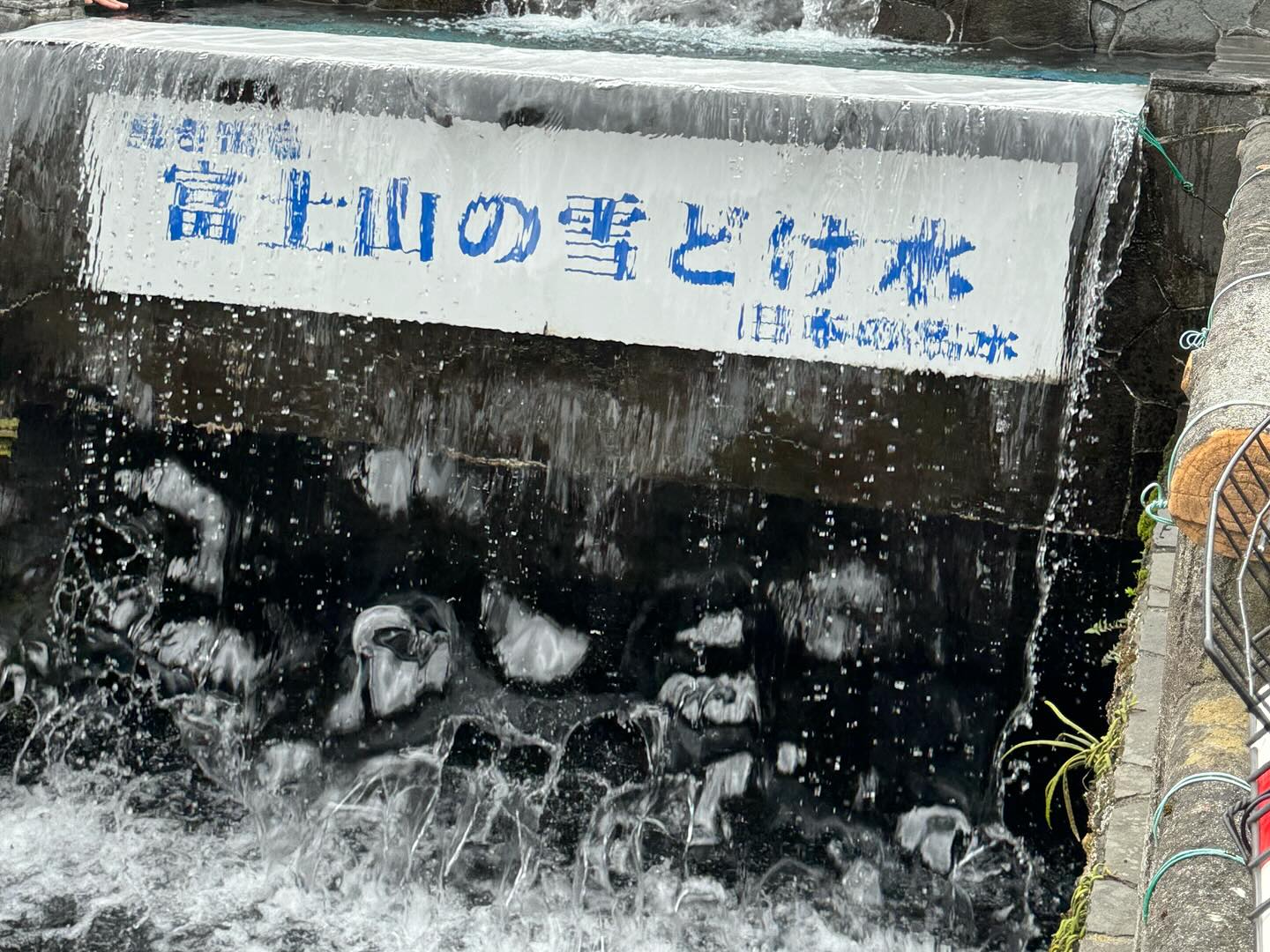 Never seen such clear #springwater in it’s natural habitat #MtFuji #oshinohakkaivillage… (10)