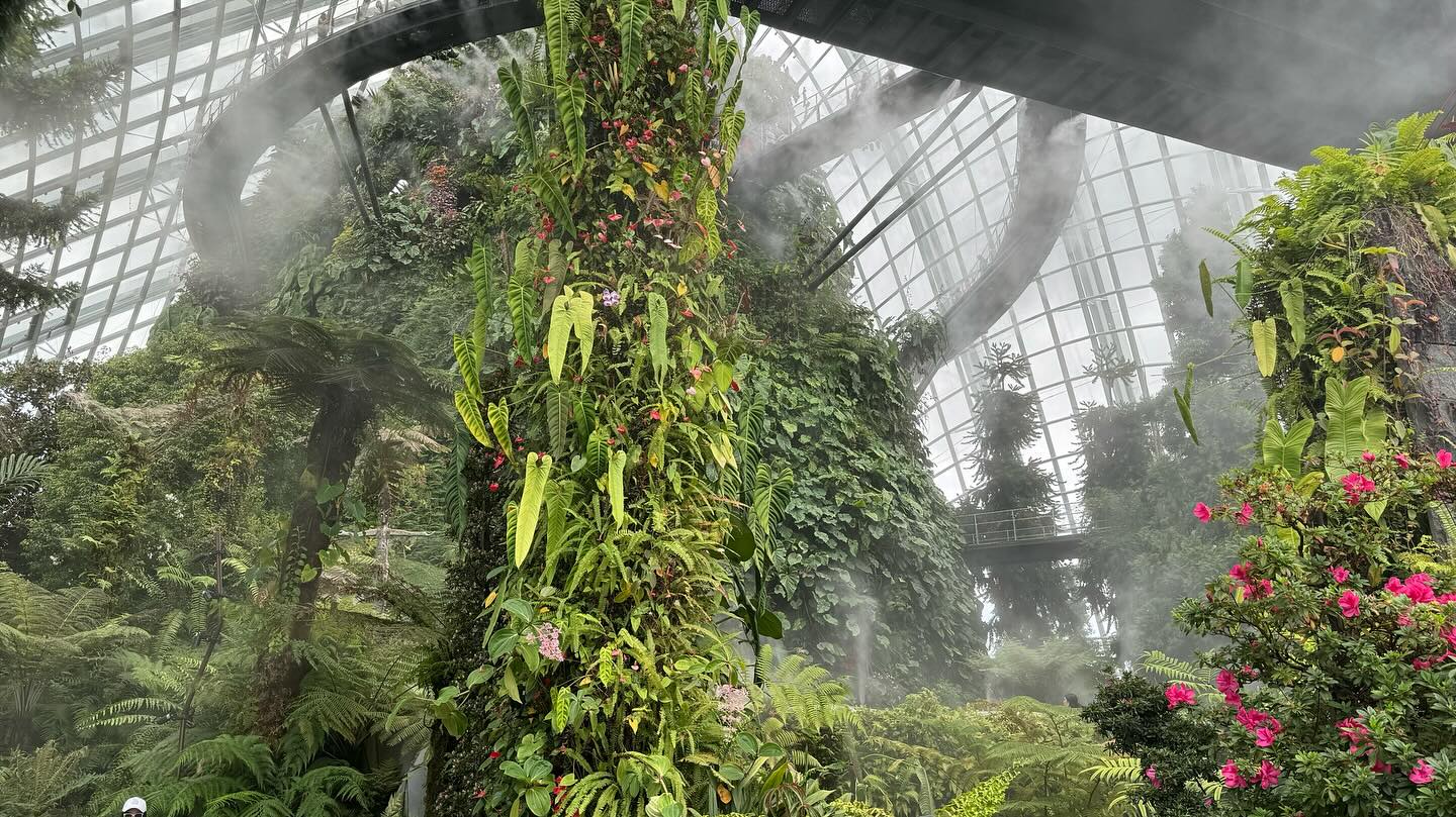 #GardensByTheBay #CloudForest Part 1 (2)