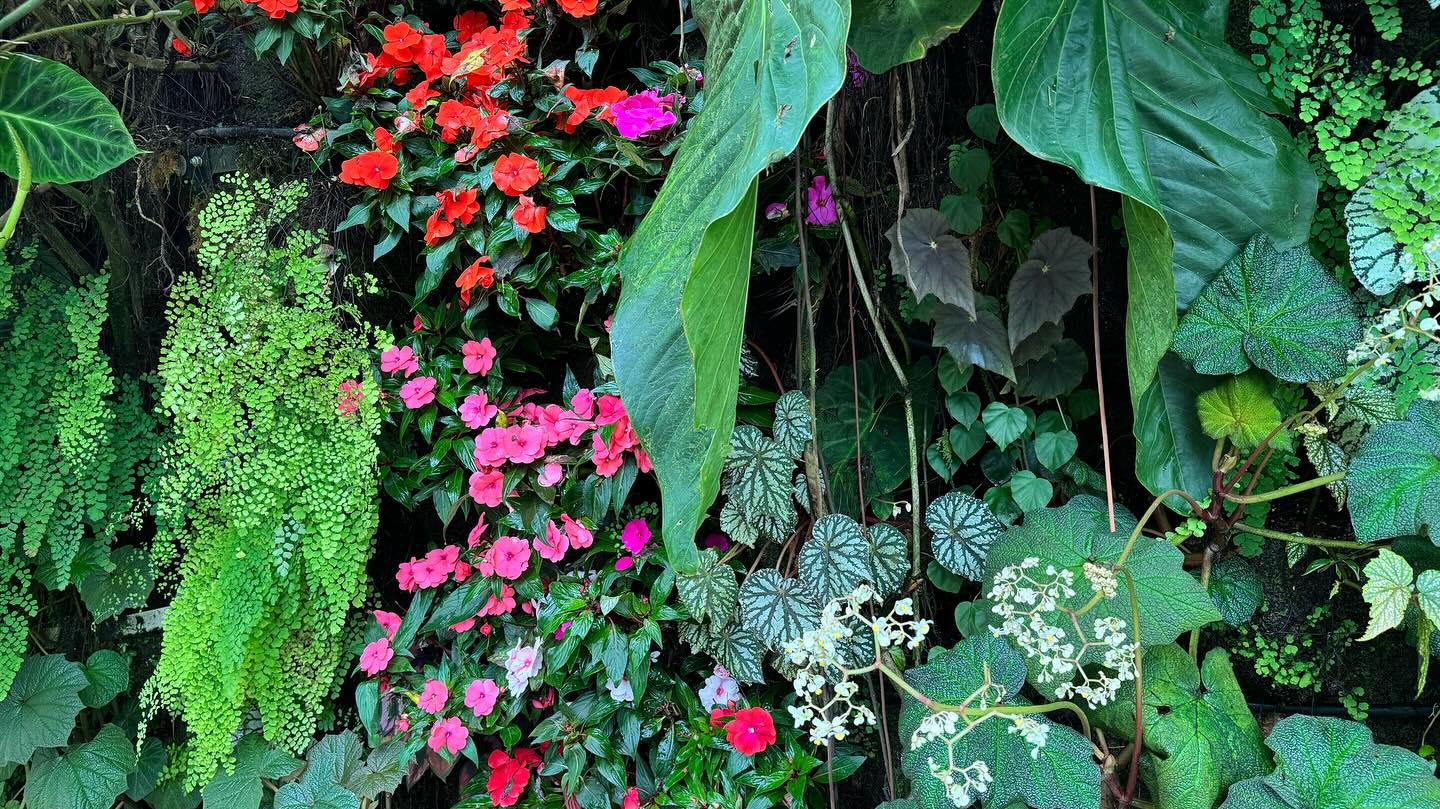 #GardensByTheBay #CloudForest Part 1 (4)